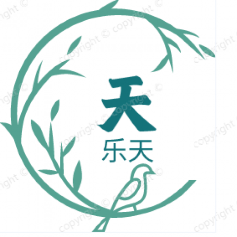 乐天旗舰